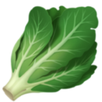 Salat